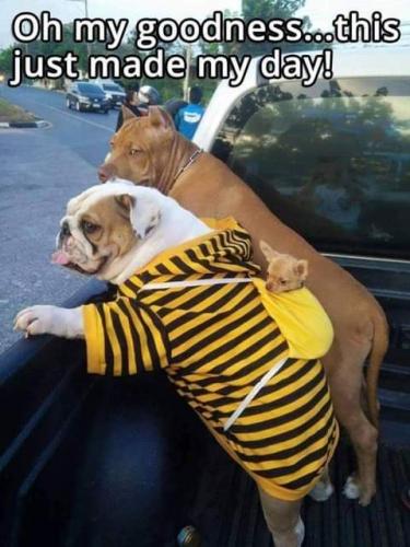 16:49:01 GMT-0700 (PDT)