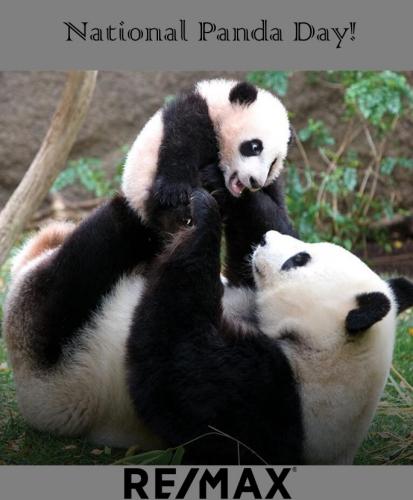 National Panda Day