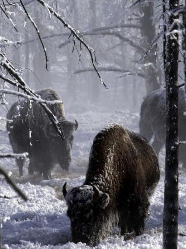 159771613_1531523067047038_6051564471869836573_n