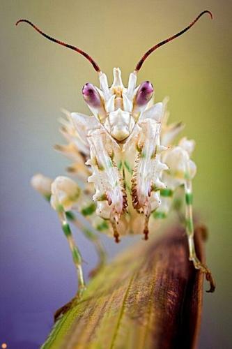 tumblr_56d51467d0de27bfc1b08b3ddae3384e_84f3d6b3_540