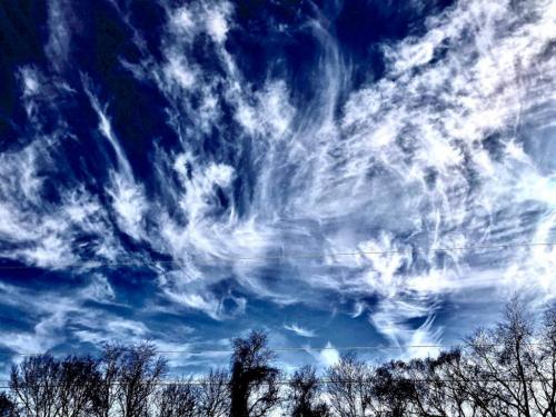 70CF3D9A-3711-4EFC-A6F5-AC9E1BC2B84C