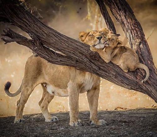 159682676_1818776311621906_4391239463391374872_o