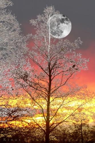 20:27:56 GMT-0500 (CDT)