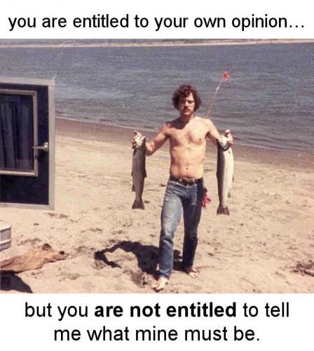 you are entitled to your own opinion