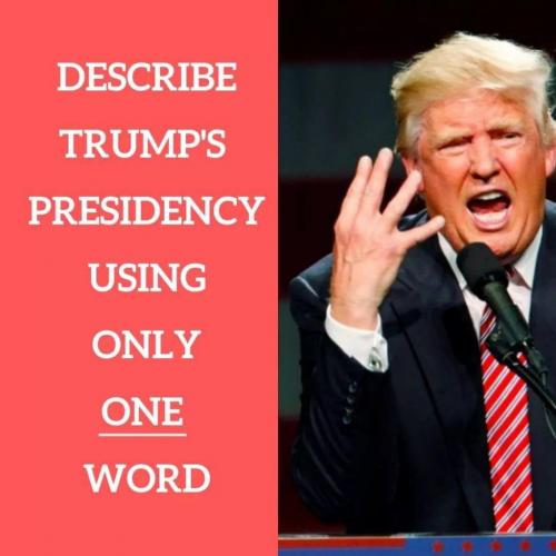 7032FE77-870D-4E9F-B4FE-9C9F4AD7B268