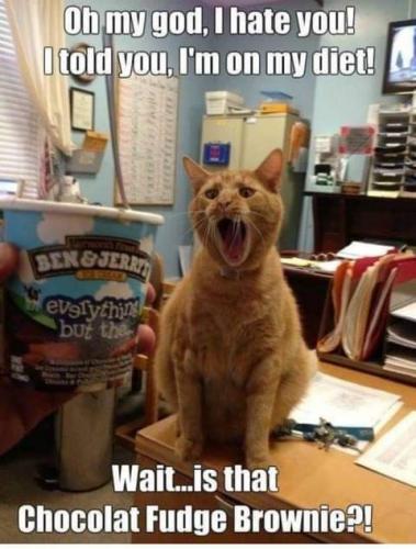 15:57:41 GMT-0700 (PDT)