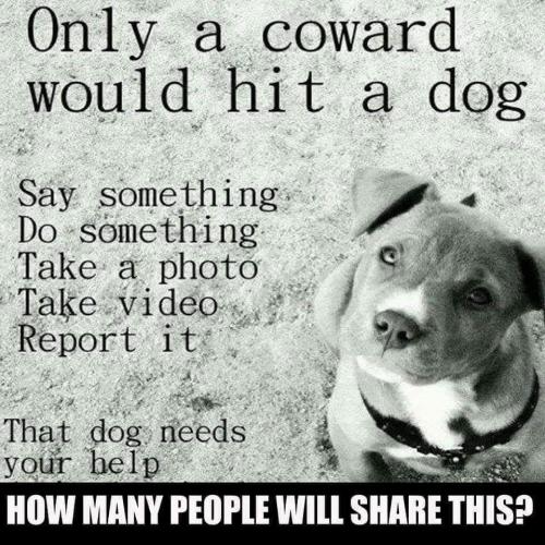 14:02:26 GMT-0600 (CST)