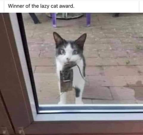 18:23:52 GMT-0700 (PDT)