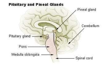 ,                                                                                                                                                                                                                       0  a