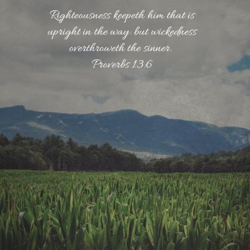 04:04:03 GMT-0400 (EDT)