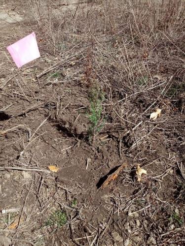 22:22:05 GMT-0500 (CDT)