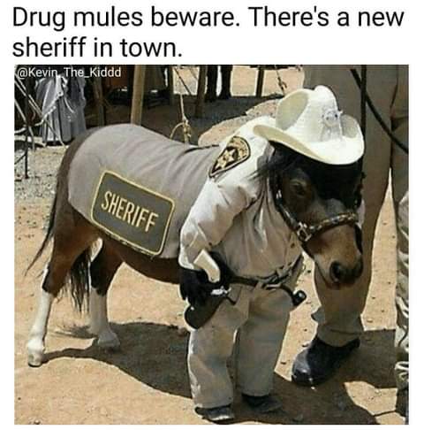 17:45:53 GMT-0800 (PST)