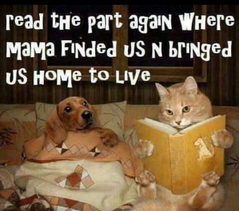 08:56:14 GMT-0800 (PST)