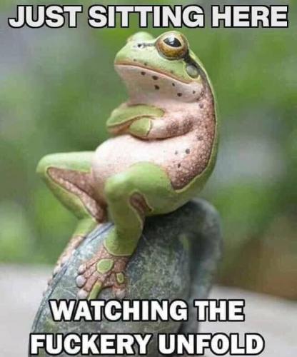 11:07:47 GMT-0400 (EDT).image