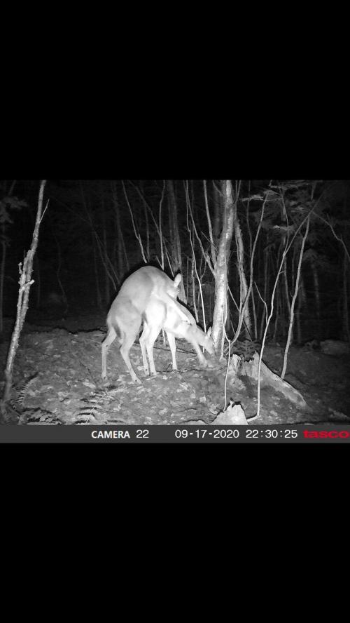 10:41:42 GMT-0400 (EDT).image