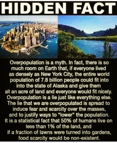 3A1BC65B-582E-453D-AF73-0F2B69DBE6BA