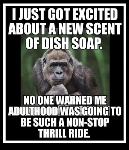 19:01:20 GMT-0400 (EDT)