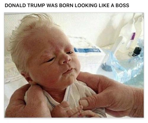 0FEC90C6-1D5D-49DB-B7D2-EB0854B1C20F