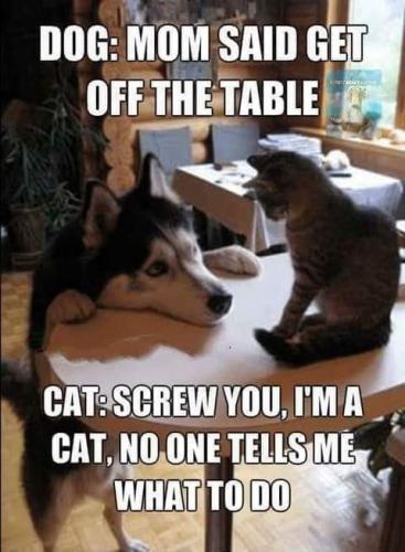 14:13:59 GMT-0700 (PDT)