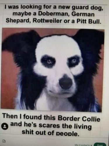 13:18:44 GMT-0700 (PDT)