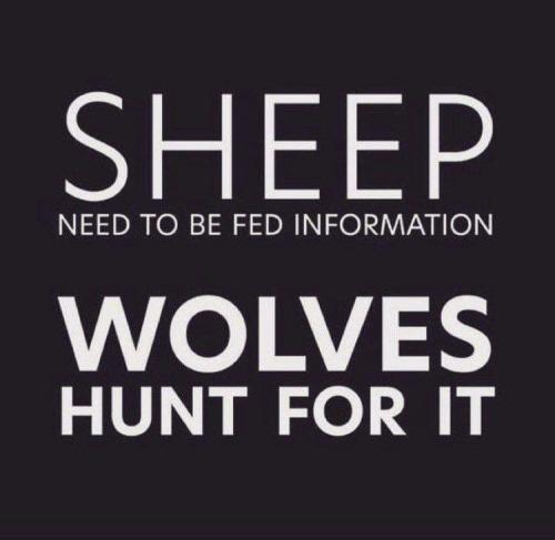 19:41:37 GMT-0600 (CST).image