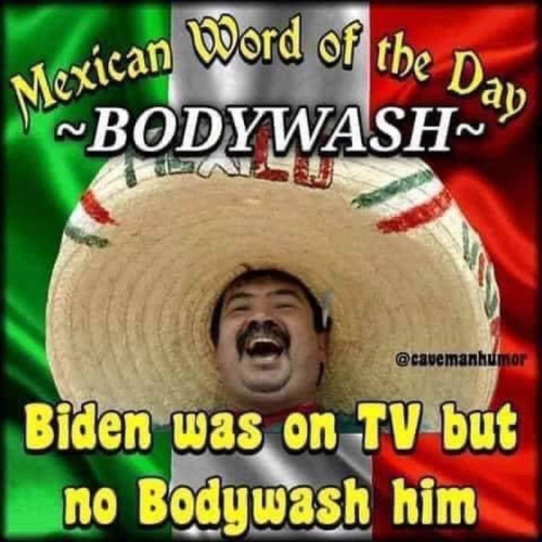 biden badywash img