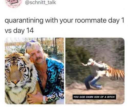 90305138_3308227419189859_3779486240257081344_n