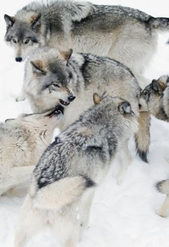 d4def2ac9164362fd07a2cf15c27a5aa