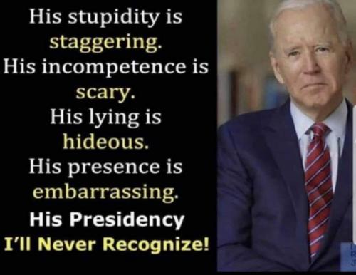 Biden the Moron