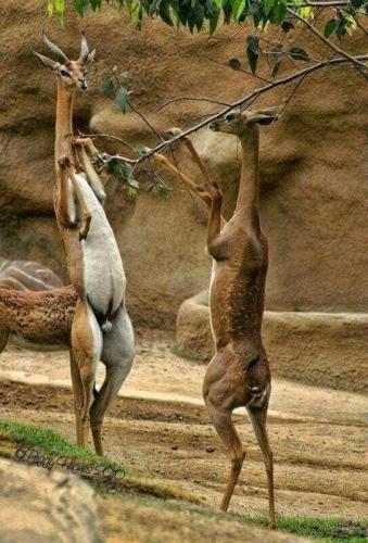 146941823_110190794406081_8114922801734569460_n