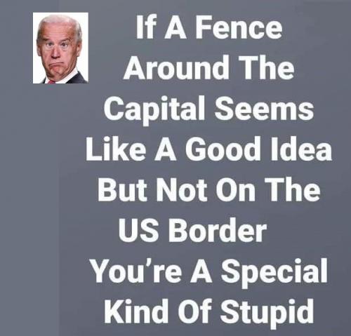 special kind of stupid