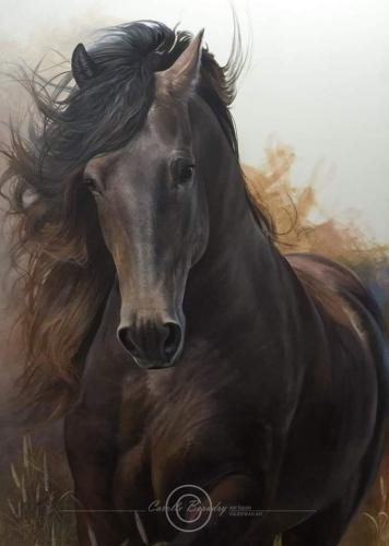 07:21:13 GMT-0600 (CST)