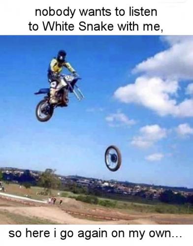 listen to white snake