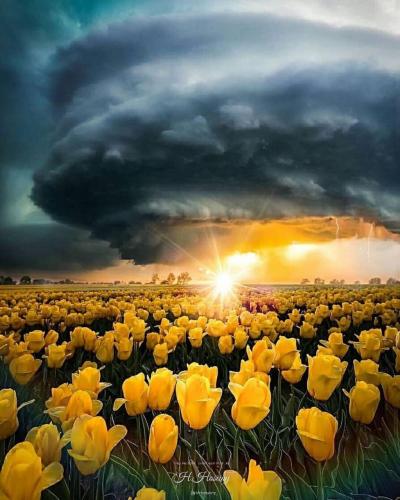 161707295_122742299798324_7652185920706251382_o