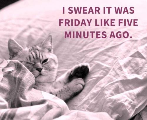 06:18:50 GMT-0400 (EDT)