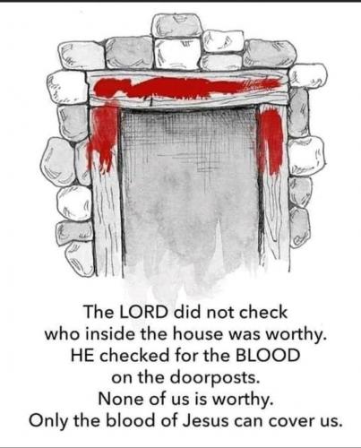 D303CEAE-B9A6-4089-B2BB-192DC3C86C91