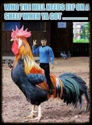 12:02:30 GMT-0800 (PST)