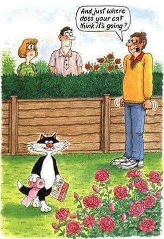 20:08:01 GMT-0700 (PDT)