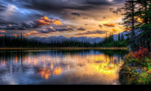 Screenshot 2021-03-17 7.27.52 AM