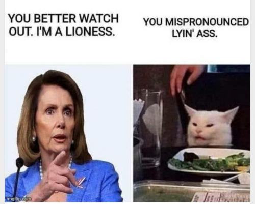 10:19:06 GMT-0600 (CST)