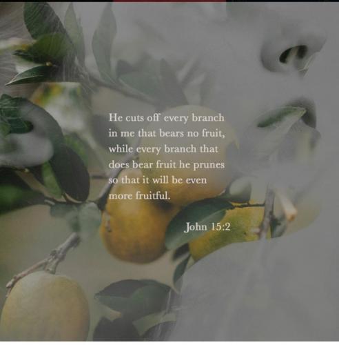 07:50:33 GMT-0600 (CST)