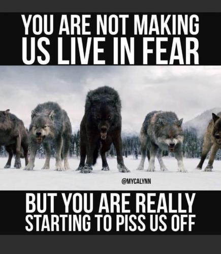 19:27:43 GMT-0600 (CST)