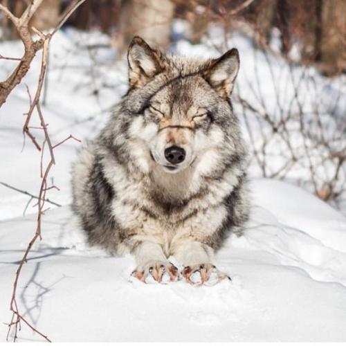 6c93e3a1acd7f1ad2e3760420224be75