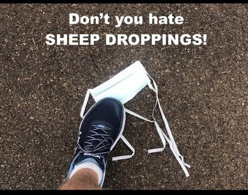SHEEPSHIT