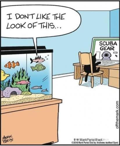 21:38:19 GMT-0700 (PDT)