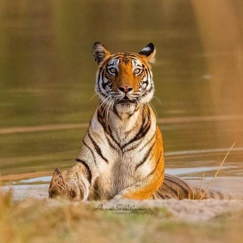 154378409_1090003494797394_9062704759395139983_o