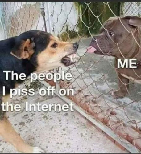 23:00:55 GMT-0400 (EDT)