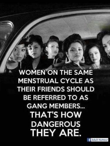 WOMEN GANG