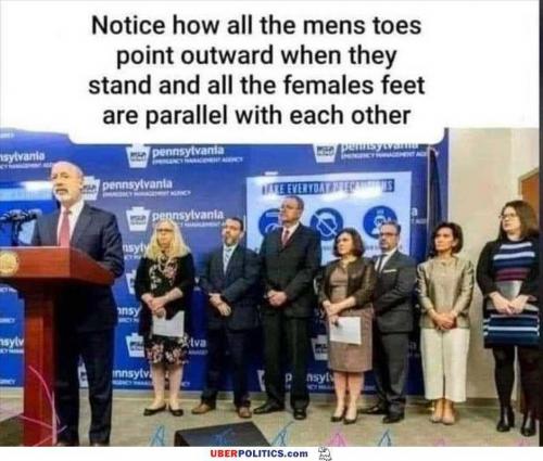 10:35:34 GMT-0600 (CST)