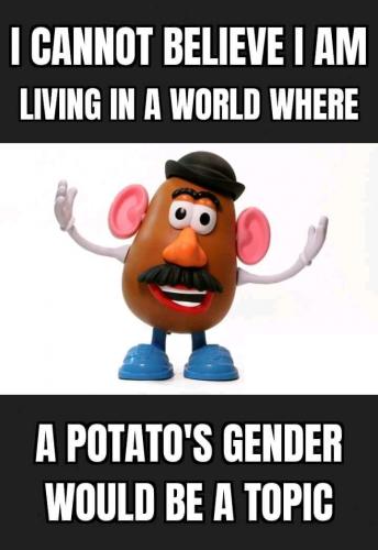 06:54:54 GMT-0500 (EST)